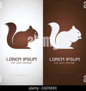 Image vectorielle d'un motif écureuil sur fond blanc et marron, logo, symbole. Illustration de Vecteur