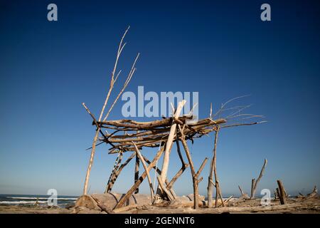 Bâtiments typiques en bois à l'abri du soleil sur la plage libre de Viareggio Italie en été Banque D'Images