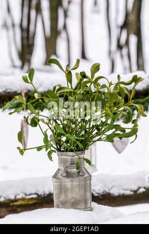 Bouquet de GUI dans une vieille botte d'argent. Jardin d'hiver entièrement couvert de neige en arrière-plan. Banque D'Images