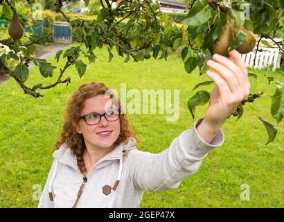 05 août 2021, Schleswig-Holstein, Heide: Laura Mugrauer, jardinière de l'allotissement, se tient près d'un arbre de poire dans son jardin de l'allotissement. Pendant longtemps, les jardins d'allotement ont été considérés comme plutôt bourgeois - mais pendant ce temps aussi les jeunes découvrent les jardins d'allotissement pour eux-mêmes. (À dpa 'autosuffisance et petites escapades de ville - jardins d'allotement dans le Nord') photo: Daniel Bockwoldt/dpa Banque D'Images