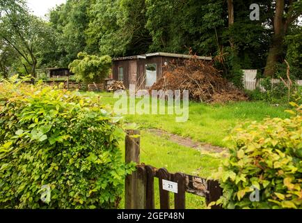 05 août 2021, Schleswig-Holstein, Heide: Une parcelle dans une association de jardin d'allotement est vide. Pendant longtemps, les jardins d'allotement ont été considérés comme plutôt bourgeois - mais entre-temps aussi les jeunes découvrent les jardins d'allotement pour eux-mêmes. (À dpa 'autosuffisance et petites escapades urbaines - jardins d'allotement dans le nord') photo: Daniel Bockwoldt/dpa Banque D'Images