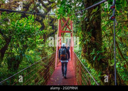 Promenade touristique sur un pont suspendu dans la forêt de nuages de Monteverde, Costa Rica Banque D'Images