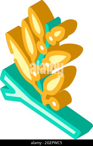 illustration du vecteur d'icône isométrique d'algues sargassum Illustration de Vecteur