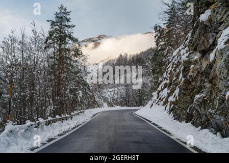 Route de montagne et forêt enneigée en hiver, Alpes Liguriennes, Italie Banque D'Images