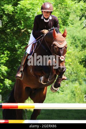 Pferd und Reiter beim Spring und Reitturnier in Hahnbach, Amberg, Oberpfalz, Bayern. Allemagne Banque D'Images