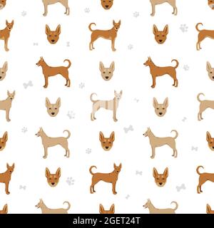 Motif chien Caroline sans coutures. Différentes poses, ensemble de couleurs de pelage. Illustration vectorielle Illustration de Vecteur