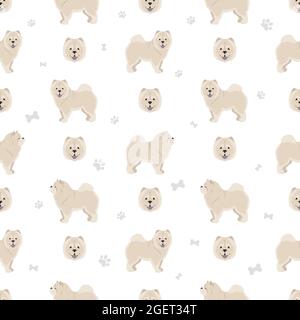 Chow Chow variété sans coutures à poil long. Différentes poses, ensemble de couleurs de pelage. Illustration vectorielle Illustration de Vecteur