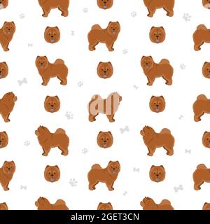 Chow Chow variété sans coutures à poil long. Différentes poses, ensemble de couleurs de pelage. Illustration vectorielle Illustration de Vecteur