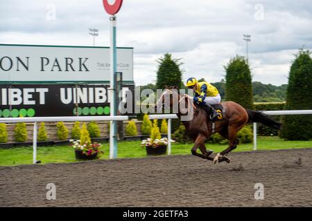 Sunbury-on-Thames, Middlesex, Royaume-Uni. 20 août 2021. Jockey Hector Crouch remporte l'Unibet Extra place offre chaque jour (London Mile Series Qual) piquets handicap (classe 4) sur un cheval Regal excessivement. Formateur William Knight, Newmarket. Crédit : Maureen McLean/Alay Banque D'Images