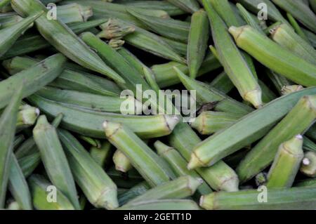 Copenhague, Danemark, 21 août 2021, légumes Okra en vente sur le marché alimentaire de la capitale danoise. (Photo..Francis Joseph Dean/Dean Pictures) Banque D'Images