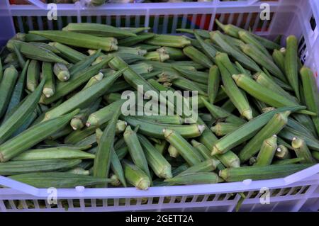 Copenhague, Danemark, 21 août 2021, légumes Okra en vente sur le marché alimentaire de la capitale danoise. (Photo..Francis Joseph Dean/Dean Pictures) Banque D'Images