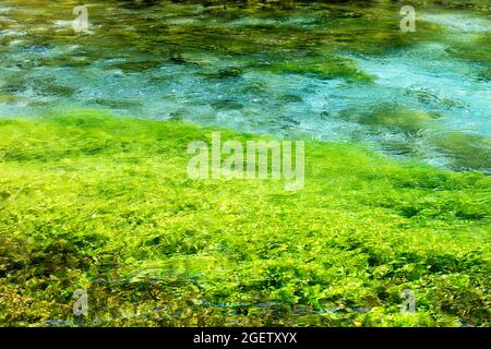 Blue Eye, Syri i Kalter, printemps Karst Bistrica, près de Saranda, Albanie, Qark Vlora Banque D'Images