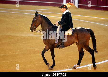 Taureaux de combat à Malaga Espagne Banque D'Images