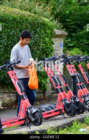 Une rangée de trottinettes VOI-e-vues prêtes pour les gens à louer par téléphone portable qui est attaché au milieu du guidon. Classé comme un véhicule de route Banque D'Images