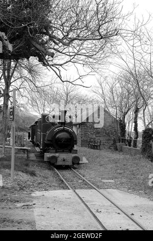 'Talyllyn' à Brynglas. Banque D'Images