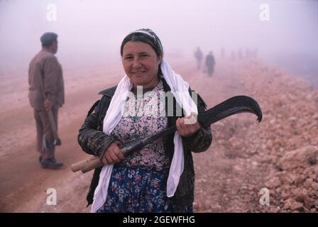 Turquie. Région rurale du sud-ouest. Femme locale de la route tenant scythe. Banque D'Images