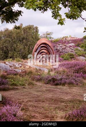 Spring Brons entouré par la bruyère au site du patrimoine de pilane. Tjörn Suède Banque D'Images