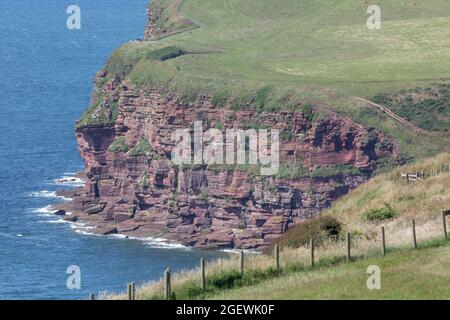 Spectaculaires falaises de grès vues depuis le sentier côtier de St Bees Head et site d'une réserve RSPB pour oiseaux marins Banque D'Images