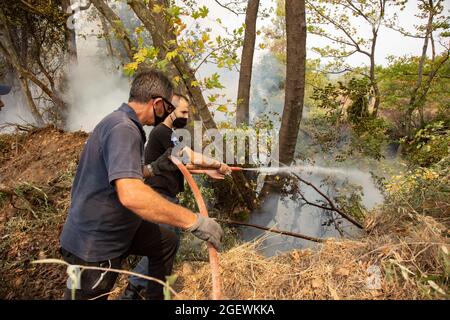 Kehries, île d'Evia, Grèce. 5 août 2021. Des volontaires sont vus éteindre l'incendie.incendie près du village de Kehries dans l'île d'Evia en Grèce tandis que les pompiers, les locaux et les volontaires tentent de combattre les feux de forêt, qui se sont produits dans la partie nord de l'île grecque d'Evia (Euboea) où l'incendie a continué à brûler presque pendant 10 jours, la forêt et les bâtiments. Près de 100,000 hectares de forêt ont brûlé dans des incendies grecs selon les services européens d'urgence de Copernic. (Image de crédit : © Nik Oiko/SOPA Images via ZUMA Press Wire) Banque D'Images