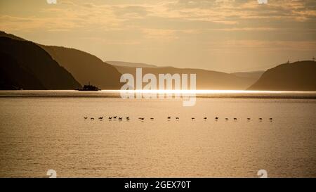 Tadoussac, Canada - juillet 23 2021 : vue imprenable sur le coucher du soleil dans l'estuaire de la rivière Saguenay près de Tadoussac Banque D'Images