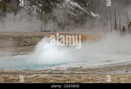 Spilouter Geyser dans le bassin de sable noir ; Date : 6 avril 2015 Banque D'Images