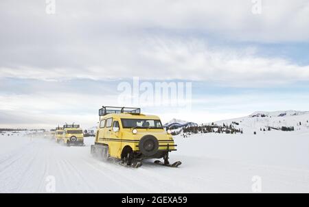 Le dernier voyage pour les Snowcars de Xanterra Bombardier. Swan Lake Flats ; Date : 1er mars 2016 Banque D'Images