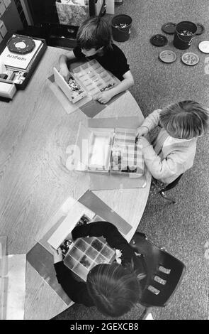 Austin Texas USA, 1994: Les enfants de maternelle pratiquent les compétences mathématiques en triant des objets en classe. ©Bob Daemmrich Banque D'Images