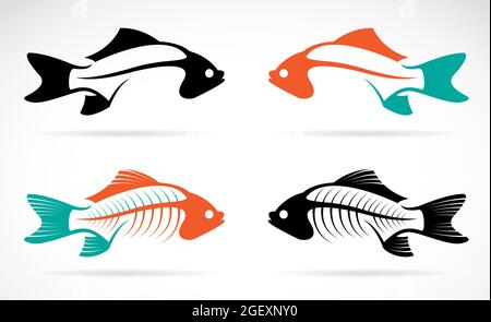 Image vectorielle d'un os de poisson sur fond blanc. Illustration vectorielle superposée facile à modifier. Animaux sauvages. Animal de ferme. Illustration de Vecteur