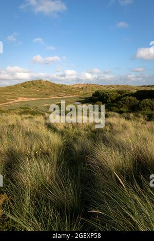 Dunes de sable de Braunton Burrows Banque D'Images