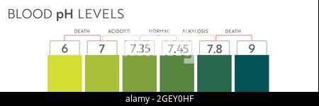 Plage de ph du sang humain. Graphique et échelle d'illustrations médicales. Diagramme acide, Normal, Akaline. Illustration de Vecteur