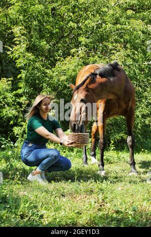 Une fille nourrit un cheval avec une carotte Banque D'Images