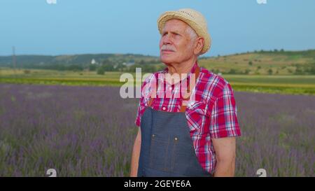 Agriculteur senior homme tournant face à caméra et souriant dans le champ de lavande prairie fleur jardin d'herbes Banque D'Images