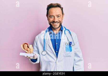 Gynécologue d'âge moyen tenant le modèle anatomique de l'utérus féminin avec le fœtus qui semble positif et heureux debout et souriant avec un sourire confiant Banque D'Images