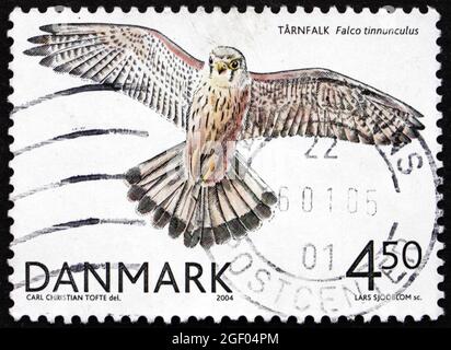 DANEMARK - VERS 2004: Un timbre imprimé au Danemark montre le Kestrel commun, Falco Tinnunculus, oiseau de proie, vers 2004 Banque D'Images