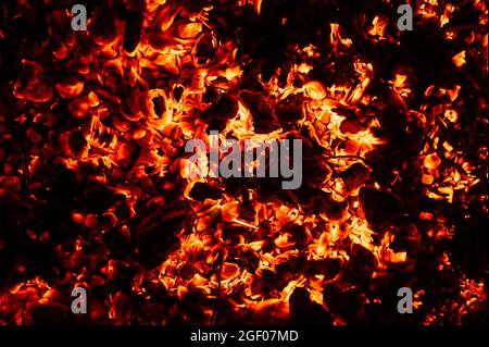 arrière-plan des charbons chauds brûlants et incandescents. émonteurs de feu. scintillement des charbons brûlants la nuit Banque D'Images