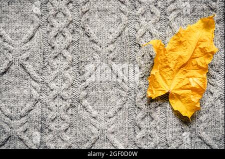 feuille d'érable sèche jaune d'automne sur fond de pull tricoté gris confortable. concept d'automne Banque D'Images
