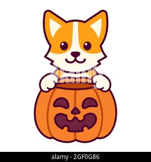 Trick or Treat. Mignon dessin animé Corgi avec la citrouille d'Halloween. Dessin de chien kawaii, illustration vectorielle amusante. Illustration de Vecteur