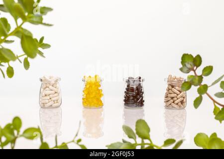 Un ensemble de vitamines naturelles et de capsules de supplément dans des pots en verre avec plante verte sur un fond blanc avec place pour le texte. Pilules d'augmentation d'immunité et Banque D'Images