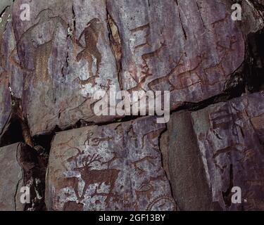 Peintures rupestres anciennes pétroglyphes dans les montagnes de l'Altaï, Russie. Banque D'Images