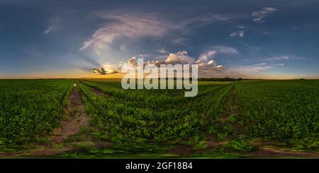 Soirée sphérique panorama hdri 360 vue parmi les champs d'agriculture avec des nuages de coucher de soleil impressionnants en projection équirectangulaire, prêt pour VR AR virtuel realit Banque D'Images