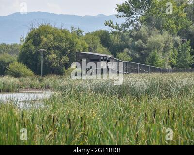 Vitoria-Gasteiz, Espagne - 21 août 2021 : observation de la faune dans la réserve naturelle des zones humides de Salburua, près de Vitoria-Gestaiz Banque D'Images