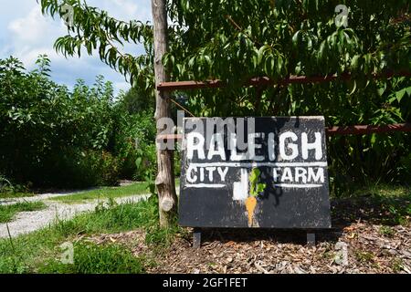 La ferme de Raleigh City près du centre-ville est une petite ferme communautaire urbaine sans but lucratif qui travaille à promouvoir un mode de vie plus sain et à éliminer l'insécurité alimentaire. Banque D'Images