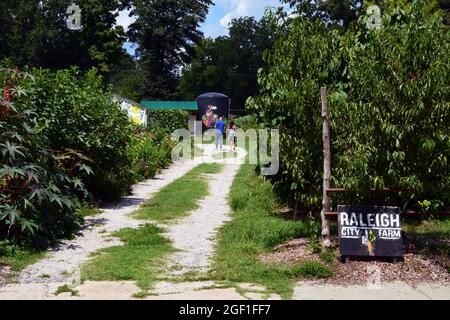 La ferme de Raleigh City près du centre-ville est une petite ferme communautaire urbaine sans but lucratif qui travaille à promouvoir un mode de vie plus sain et à éliminer l'insécurité alimentaire. Banque D'Images