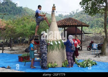 Les gens organisent des légumes pour faire le tumpeng sayur (cône de légumes) pour la cérémonie de la sedekah bumi (action de grâce javanaise) à la plage de sanggar Banque D'Images