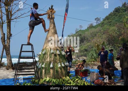 Les gens organisent des légumes pour faire le tumpeng sayur (cône de légumes) pour la cérémonie de la sedekah bumi (action de grâce javanaise) à la plage de sanggar Banque D'Images