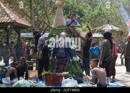 Les gens organisent des légumes pour faire le tumpeng sayur (cône de légumes) pour la cérémonie de la sedekah bumi (action de grâce javanaise) à la plage de sanggar Banque D'Images