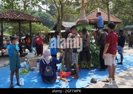 Les gens organisent des légumes pour faire le tumpeng sayur (cône de légumes) pour la cérémonie de la sedekah bumi (action de grâce javanaise) à la plage de sanggar Banque D'Images