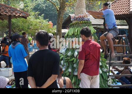 Les gens organisent des légumes pour faire le tumpeng sayur (cône de légumes) pour la cérémonie de la sedekah bumi (action de grâce javanaise) à la plage de sanggar Banque D'Images