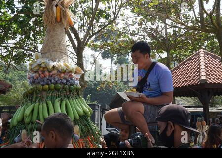 Les gens organisent des légumes pour faire le tumpeng sayur (cône de légumes) pour la cérémonie de la sedekah bumi (action de grâce javanaise) à la plage de sanggar Banque D'Images