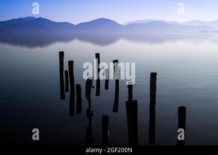 Sur les rives du lac Massaciuccoli à Torre Del Lago Puccini Italie Toscane Banque D'Images